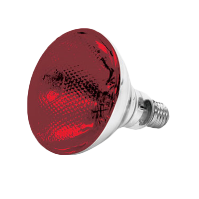 Red Heat Lamp Bulb 250W - HTBULBRD