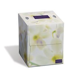 Embassy® 2-Ply Cube Facial Tissue 100 Sheet, 36/Cs - 8906