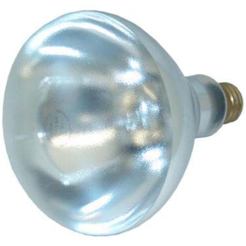 Clear Heat Lamp Bulb 250W – 66103