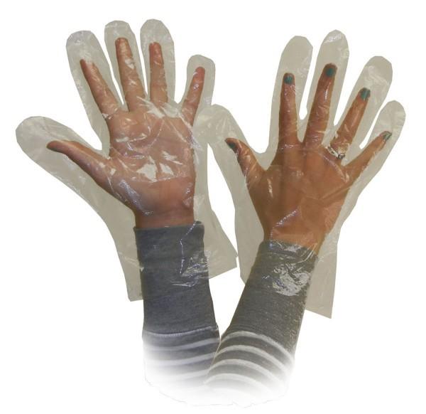 Disposable Polyethylene Gloves, Large, Clear 500/Bx - 143