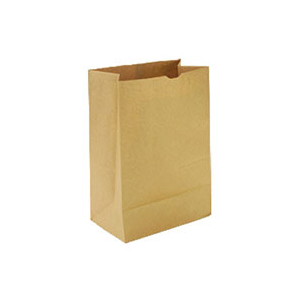 Brown Paper Bag 20lb, 500/Pkg - 68160056